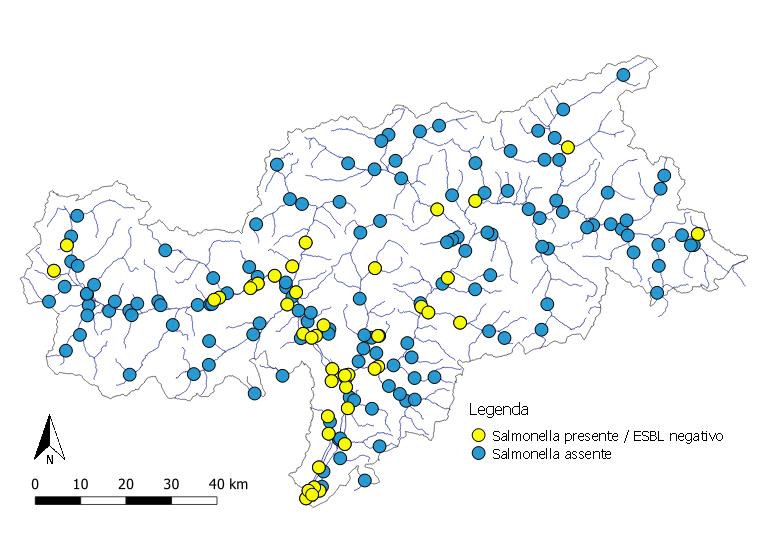 Distribuzione dei punti di prelievo dei campioni nel tirennio 2017-2019, per la ricerca di Salmonella (Foto: Fonte: Agenzia provinciale per l'ambiente e la tutela del clima, M. Ladurner)