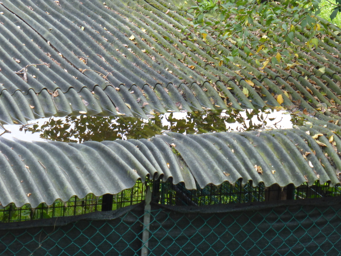 Foto 8 - Copertura in ondulato con accumulo di acqua stagnate (Foto: Agenzia provinciale per l’ambiente, E. Bucher, 2014)