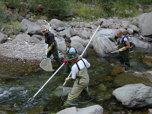Elettro-pesca (Foto: Agenzia provinciale per l'ambiente)