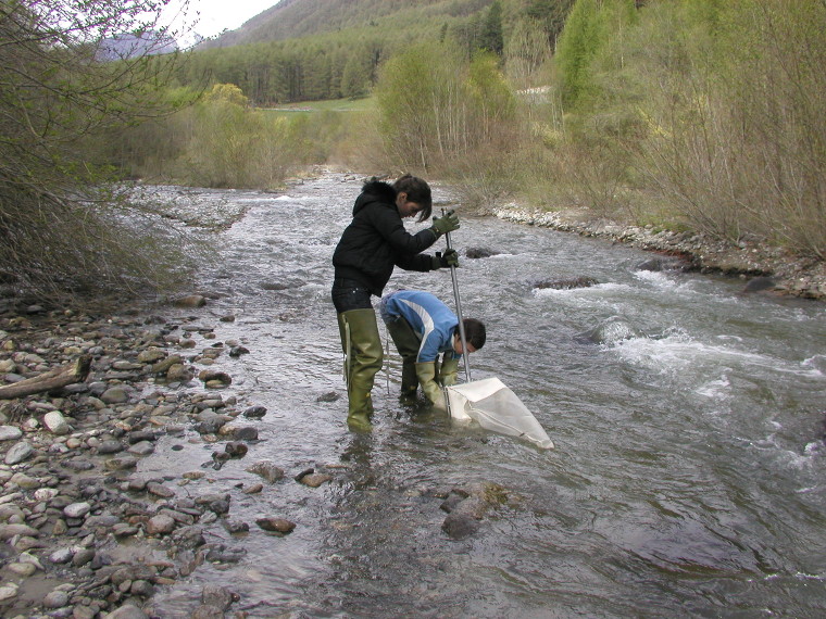 Campionamento del macrozoobenthos  (Foto: Agenzia provinciale per l'ambiente)
