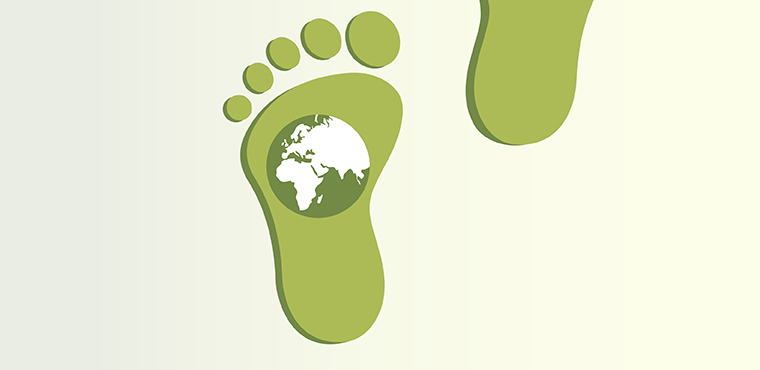 Der ökologische Fußabdruck - Link