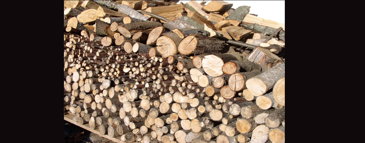 Riscaldamento centralizzato a legna: incentivi per sostituire gli impianti obsoleti