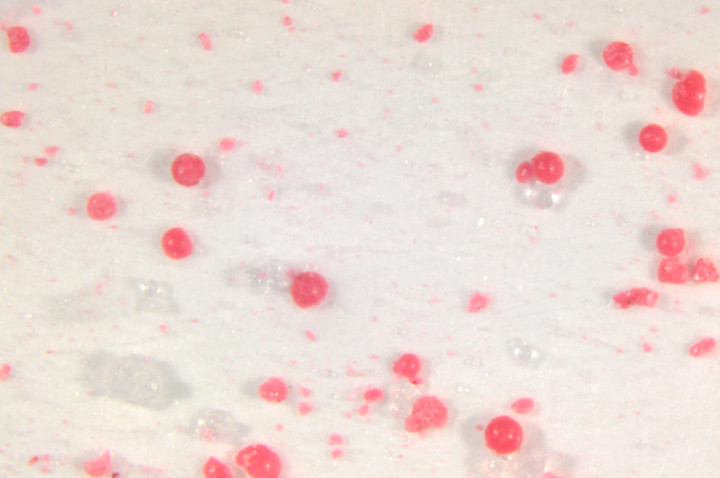 Sfere di microplastica presenti in un detergente (Foto: Agenzia provinciale per l'ambiente e la tutela del clima, M. Casera)