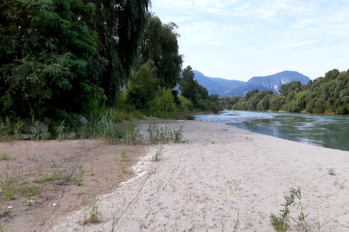Foto 1: Sito di campionamento sul fiume Adige a Laghetti, verso sud (Foto: Agenzia provinciale per l'ambiente e la tutela del clima, M. Casera)
