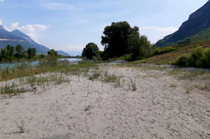 Foto 2: Sito di campionamento sul fiume Adige a Laghetti, verso nord (Foto: Agenzia provinciale per l'ambiente e la tutela del clima, M. Casera)