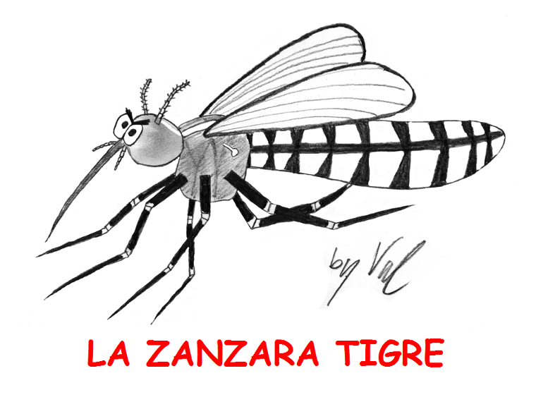 La zanzara tigre, un argomento affascinante per l’insegnamento