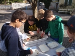 I ragazzi impegnati nella scoperta delle forme di vita presenti nei corsi d’acqua dell’Alto Adige