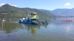 La "vecchia" barca per lo sfalcio e la raccolta delle piante in azione durante la scorsa estate al lago di Caldaro