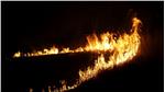 Der Brand im Schilfgürtel des Schutzgebietes Kalterersee vom Freitag: Als Ursache wird eine achtlos weggeworfene Zigarette vermutet.